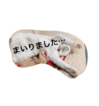 ヒュゴの日常2！（個別スタンプ：37）