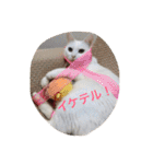 ヒュゴの日常2！（個別スタンプ：38）
