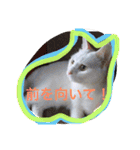 ヒュゴの日常2！（個別スタンプ：40）