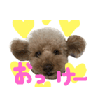 ナイト1（個別スタンプ：1）