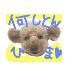 ナイト1（個別スタンプ：3）