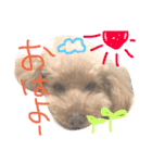 ナイト1（個別スタンプ：5）