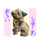 ナイト1（個別スタンプ：8）