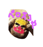 ペロンチョ（個別スタンプ：2）