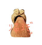 ペロンチョ（個別スタンプ：7）