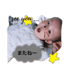 haruta    stamp 2（個別スタンプ：1）