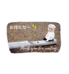 haruta    stamp 2（個別スタンプ：30）