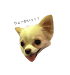 Tofu's greetings（個別スタンプ：7）