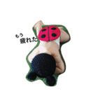 shu yumeha（個別スタンプ：3）