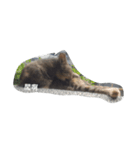 Scenery of the cat（個別スタンプ：5）
