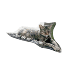 Scenery of the cat（個別スタンプ：8）