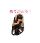 凱スタンプ(日常編)（個別スタンプ：31）