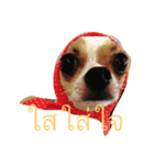 Rambo the Alien dog（個別スタンプ：6）