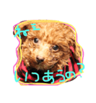 ビン3（個別スタンプ：5）