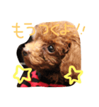 ビン3（個別スタンプ：7）