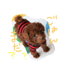 ビン3（個別スタンプ：14）