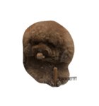 kribo: intro（個別スタンプ：4）