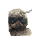 kribo: intro（個別スタンプ：6）