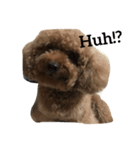 kribo: intro（個別スタンプ：8）