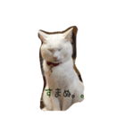 白猫のななお（個別スタンプ：2）