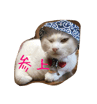 白猫のななお（個別スタンプ：7）