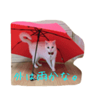 白猫のななお（個別スタンプ：8）