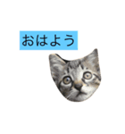 ちゃーる（個別スタンプ：4）