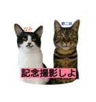 いつも一緒に（個別スタンプ：1）