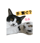 いつも一緒に（個別スタンプ：2）