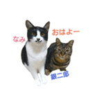 いつも一緒に（個別スタンプ：3）