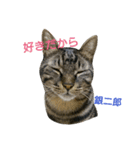 いつも一緒に（個別スタンプ：7）