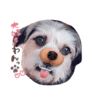 温水さん（個別スタンプ：1）