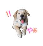 らっくんと愉快な仲間たち。（個別スタンプ：2）