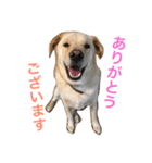 らっくんと愉快な仲間たち。（個別スタンプ：10）