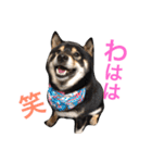 らっくんと愉快な仲間たち。（個別スタンプ：12）