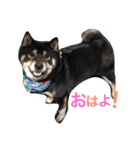 らっくんと愉快な仲間たち。（個別スタンプ：13）