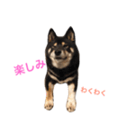らっくんと愉快な仲間たち。（個別スタンプ：17）