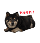 らっくんと愉快な仲間たち。（個別スタンプ：20）