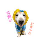 らっくんと愉快な仲間たち。（個別スタンプ：23）