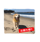 らっくんと愉快な仲間たち。（個別スタンプ：31）