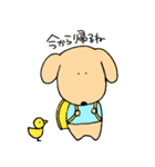 我が家の愛犬2（個別スタンプ：13）