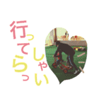 natsutsu！！！！（個別スタンプ：8）