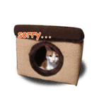 i'm tony（個別スタンプ：1）
