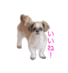 一哲です！2（個別スタンプ：20）