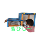 一哲です！2（個別スタンプ：38）