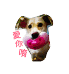 Tang-tang Loves You（個別スタンプ：1）
