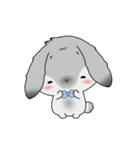 Piti the cutest rabbit bunny.（個別スタンプ：4）