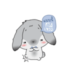Piti the cutest rabbit bunny.（個別スタンプ：36）