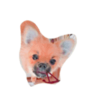 犬のこたろう（個別スタンプ：5）