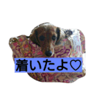 finally（個別スタンプ：14）